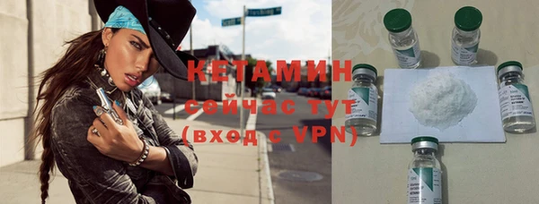 индика Киренск