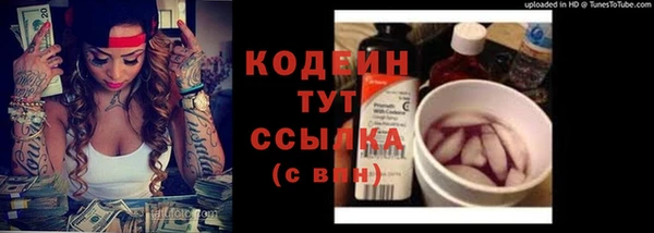 индика Киренск
