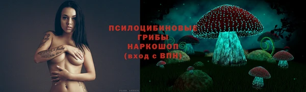 ПСИЛОЦИБИНОВЫЕ ГРИБЫ Киреевск
