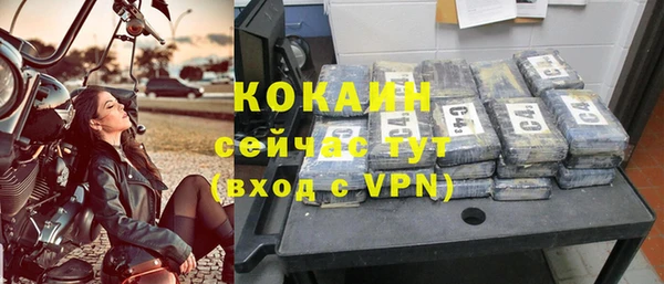 индика Киренск