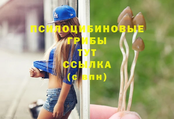 ПСИЛОЦИБИНОВЫЕ ГРИБЫ Киреевск